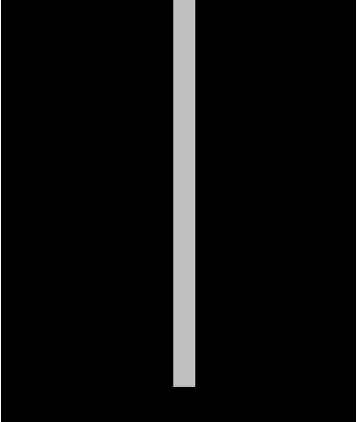 169.jpg