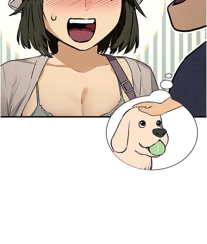 73.jpg
